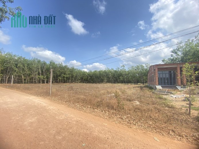 Chỉ cần đưa trước 250tr sở hữu ngay đất sát đường Nguyễn Chí Thanh,Tây Ninh dt 249m-giá rẻ