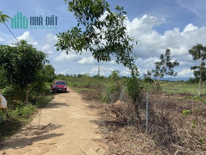 Chính chủ cần bán lô đất tại Phú Thanh, Tân Phú, Đồng Nai