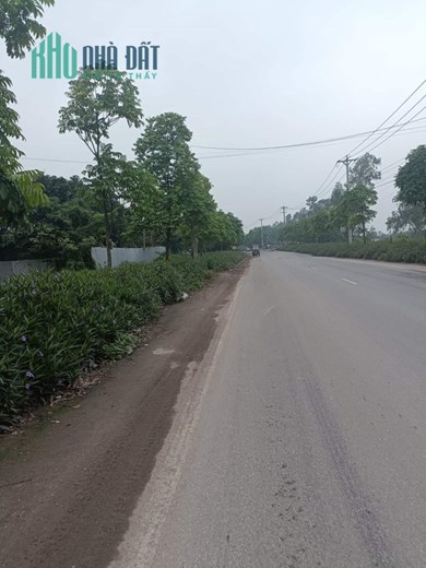 Cho thuê kho diện tích 300m2 tại Thanh Trì