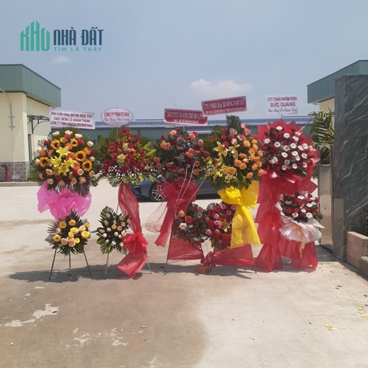 Cho thuê NXVP 10.312m2 KCN Thành Thành Công Tây Ninh giá 400tr/tháng