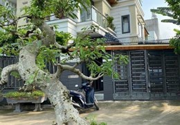 Bán Biệt Thự sân vườn Siêu Đẹp Thạnh Xuân
Quận 12 , 3 tầng 7PN giá chỉ 9,2 tỷ
