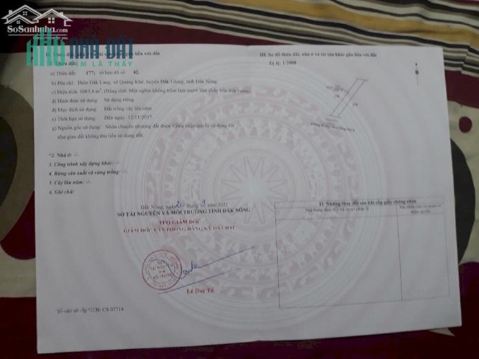 CHÍNH CHỦ CẦN BÁN LÔ ĐẤT XÃ QUẢNG KHÊ HUYỆN DĂK GLONG TINH ĐĂK NÔNG