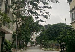 Cho thuê nhà Hoàng Cầu Đống Đa, ngõ 5m, ô tô đỗ cửa chỉ 15tr