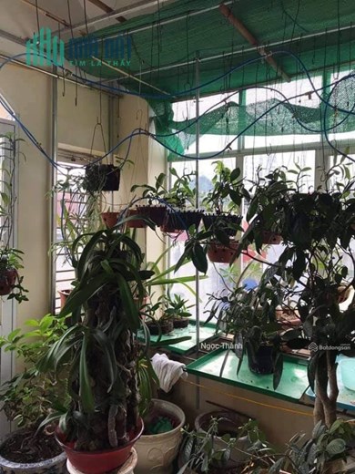 Bán nhà Dịch Vọng Hậu gần phố, ngõ thông, KD 40m 5 tầng nhỉnh 5 tỷ