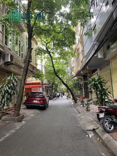 Bán nhà phố Nguyên Hồng - Đống Đa 45m2, phân lô ô tô tránh, vỉa hè kinh doanh, 12, 8 tỷ.