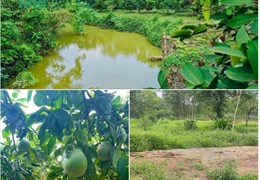 Chính chủ cần tiền bán nhanh Lô đất Tại Yên Thế -Bắc Giang.