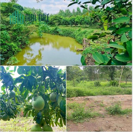 Chính chủ cần tiền bán nhanh Lô đất Tại Yên Thế -Bắc Giang.