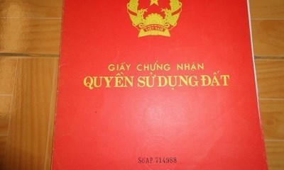 Bán đất cạnh nhà hàng tam chúc thắng cố Xã Khả Phong, Kim Bảng Hà Nam