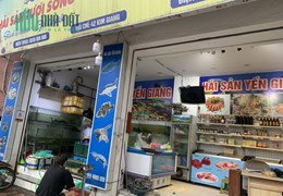 NHÀ EM CẦN SANG NHƯỢNG CỬA HÀNG HẢI SẢN SỐ 42 KIM GIANG MẶT TIỀN ĐƯỜNG CHÍNH, NGUYÊN CĂN 04 TẦNG