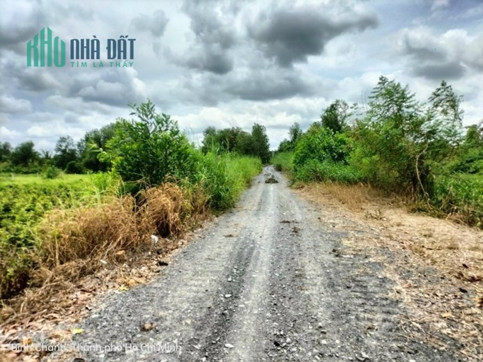 Bán gấp lô đất đường Vườn Thơm, x.Bình Lợi, Bình Chánh