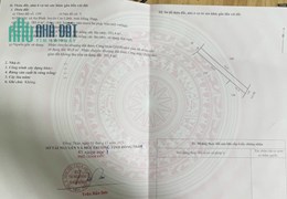 Chính Chủ Bán Gấp Lô Đất Đẹp Tại Xã An Bình, Huyện Cao Lãnh - Đồng Tháp
