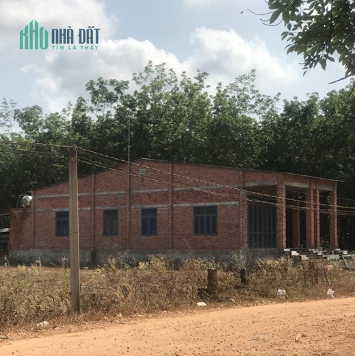 Cần bán gấp lô đất nằm sát đường DT 795 ,Thạnh Bình, Tây Ninh dt 185m - 470tr- SHR