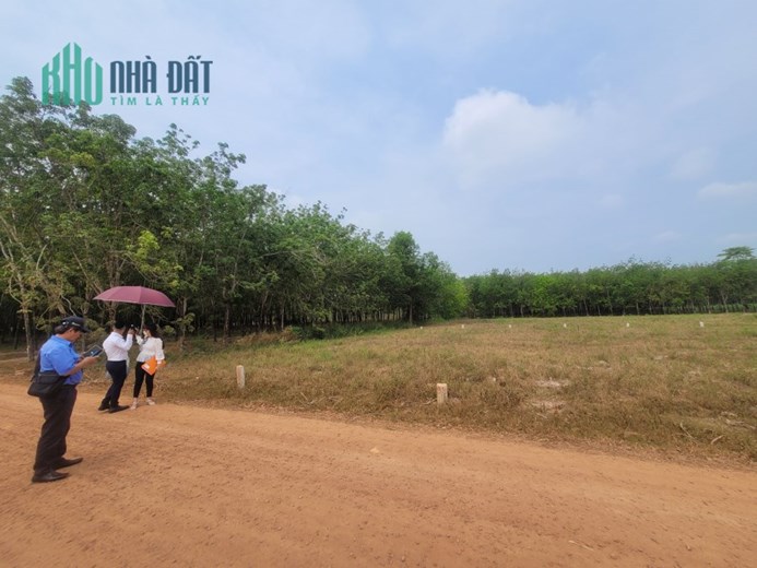 Cần bán gấp lô đất nằm sát đường DT 795 ,Thạnh Bình, Tây Ninh dt 185m - 470tr- SHR