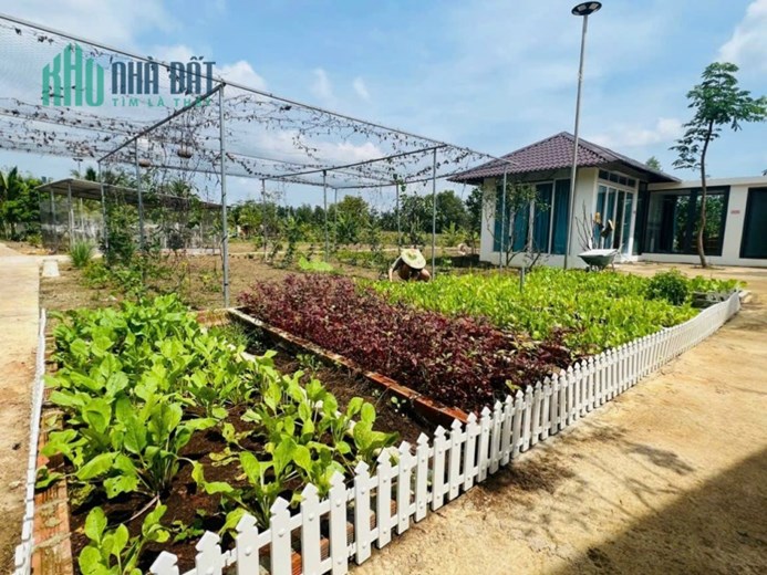 Bán 1,2ha đất vườn tâm huyết đã xây dựng mua xong về sử dụng ngay tại Tân Lâm Xuyên Mộc