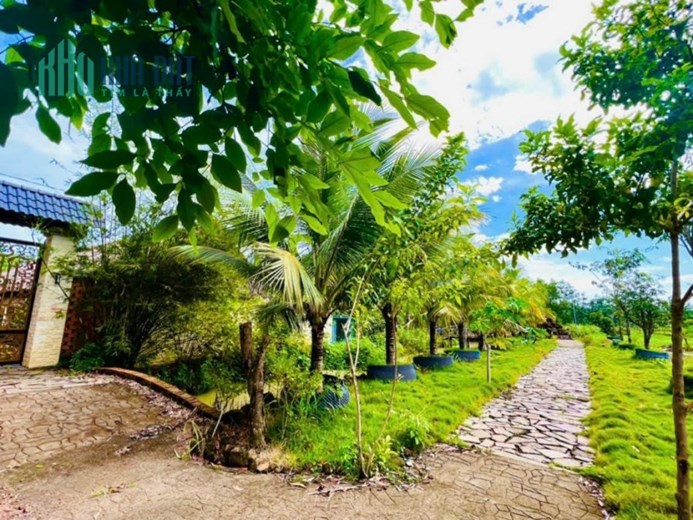 Bán 1,2ha farm tâm huyết Tại Tân Lâm,Xuyên Mộc,giá đầu tư