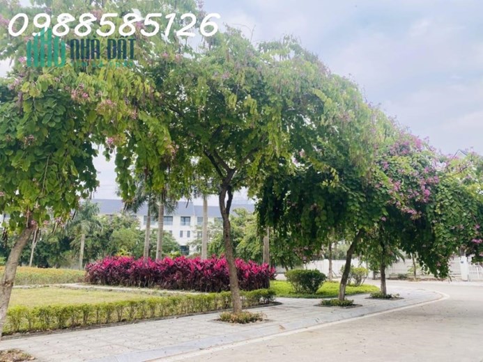 Bán nhanh căn nhà vườn 120m2 khu D Geleximco Lê Trọng Tấn giá 8,1 tỷ.