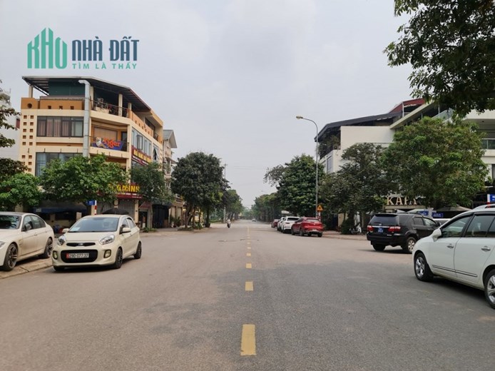 250m2 đất mặt phố kinh doanh VIP Trâu Quỳ, Gia Lâm, Hà Nội. Lh 0877817368.