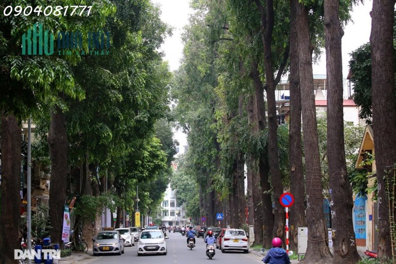 Bán nhà mặt phố Lò Đúc DT: 66m2 x 6 tầng, mt: 7m