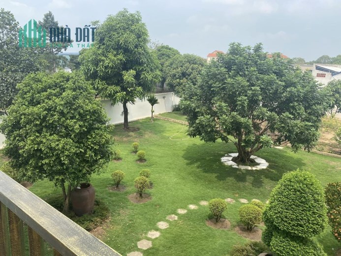 BÁN BIỆT THỰ TÔ KÝ, TÂN XUÂN, HÓC MÔN, 1529m2, Ngang 25m, nhỉnh 60 tỷ