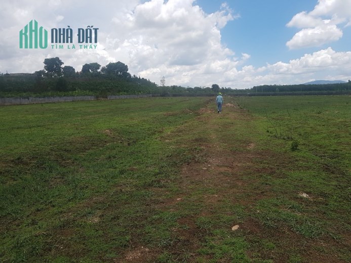 Bán 4,2ha đất Xuân Lộc Đồng Nai 14,7 tỷ