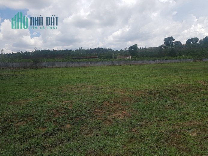 Bán 4,2ha đất Xuân Lộc Đồng Nai 14,7 tỷ