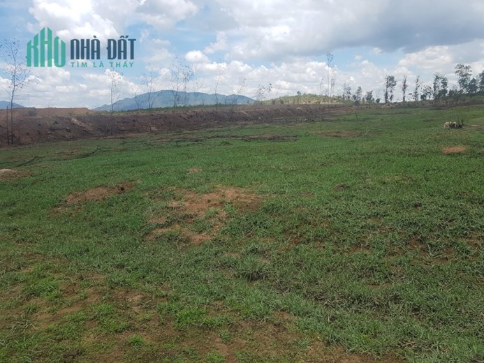 Bán 4,2ha đất Xuân Lộc Đồng Nai 14,7 tỷ