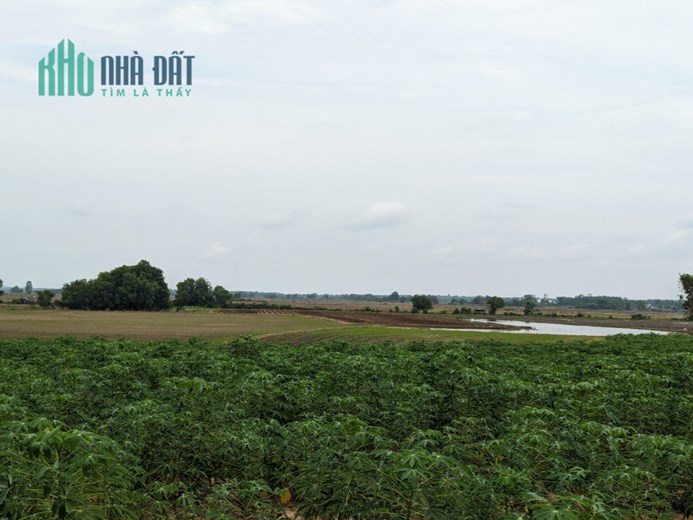 Đất vườn gần 3 sào gần nhựa - sổ riêng trọn sổ chỉ hơn 1 tỷ