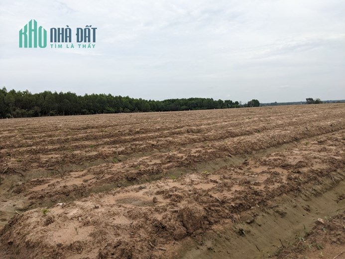 Đất vườn gần 3 sào gần nhựa - sổ riêng trọn sổ chỉ hơn 1 tỷ