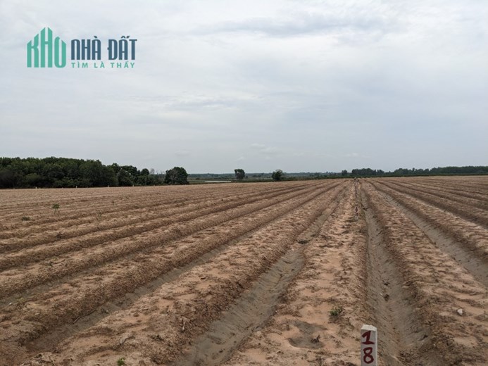 Ngộp ngân hàng chủ xả lỗ gần 1500m2 giá siêu rẻ, sổ riêng