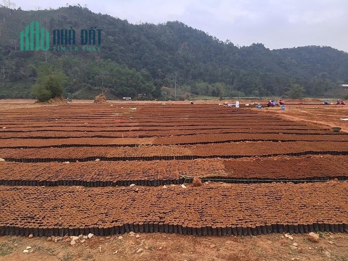 Bán đất xã lộc tân, bảo lâm, lâm đồng, dt: 1074,6m2, có 201 thổ,  15 tỷ, a tài 0949137089