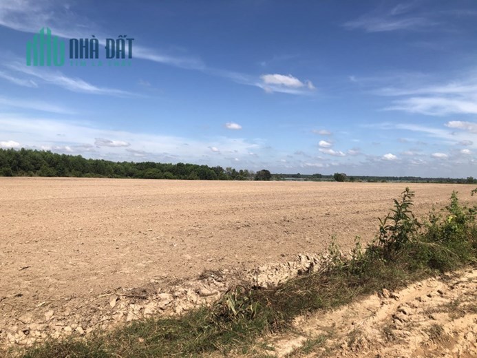 Đất vườn Tây Ninh-Đầu tư ngay sinh lời nhanh đảm bảo không làm bạn thất vọng