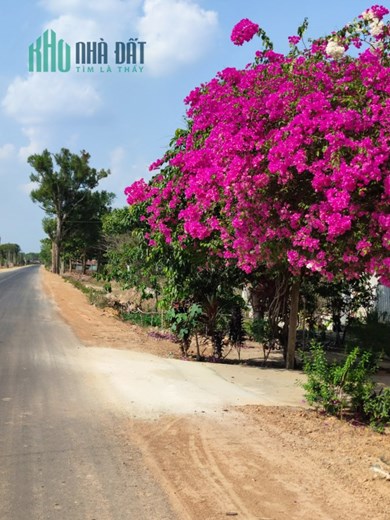 Đất vườn giá rẻ sổ sẵn công chứng ngay, không gian sống trong lành, tốt cho sức khoẻ.