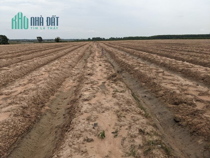 Đất vườn giá rẻ sổ sẵn công chứng ngay, không gian sống trong lành, tốt cho sức khoẻ.