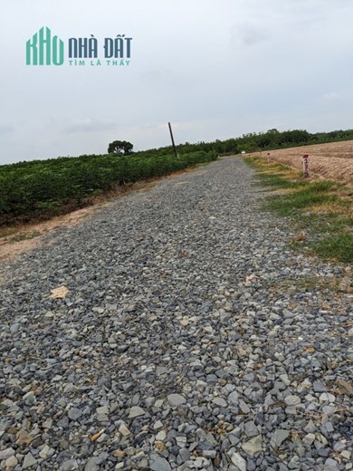 CHỦ NHỜ BÁN GIÚP 2 LÔ ĐẤT LIỀN KỀ, SHR TỪNG LÔ, GIÁ CHỈ 5xx TRIỆU