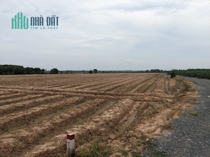 Chỉ 358 triệu/sào Sở hữu ngay lô đất vườn nghỉ dưỡng vuông vức Đẹp