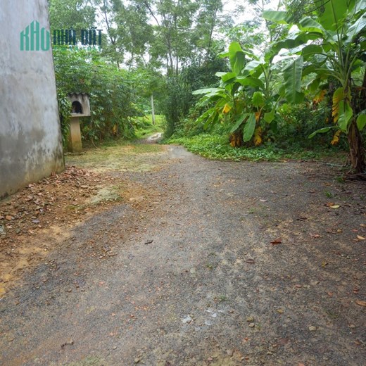 CHÍNH CHỦ CẦN BÁN ĐẤT  Ở TẠI PHƯƠNG VIÊN - TÂN  THÀNH - LƯƠNG SƠN - HÒA BÌNH