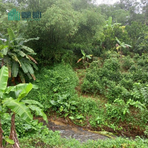 CHÍNH CHỦ CẦN BÁN ĐẤT  Ở TẠI PHƯƠNG VIÊN - TÂN  THÀNH - LƯƠNG SƠN - HÒA BÌNH