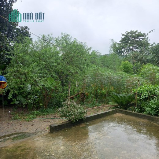 CHÍNH CHỦ CẦN BÁN ĐẤT  Ở TẠI PHƯƠNG VIÊN - TÂN  THÀNH - LƯƠNG SƠN - HÒA BÌNH