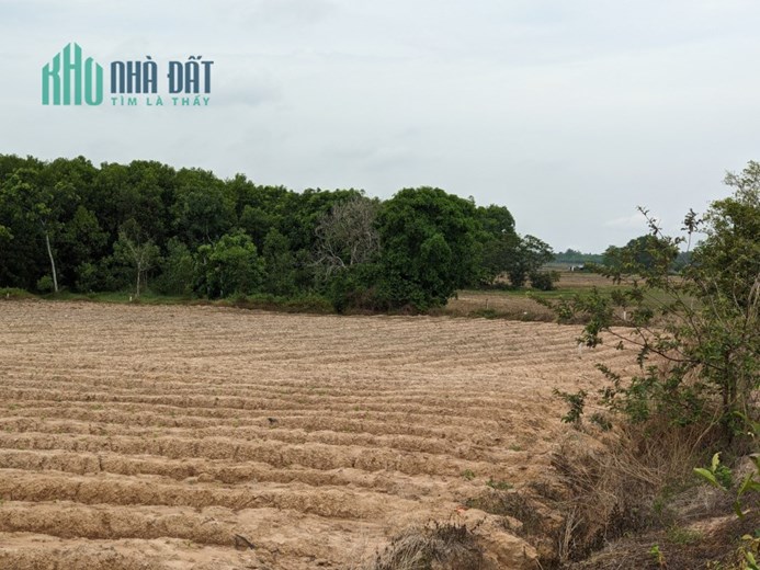 Gần 1500m2 đất mà giá chỉ có 530TR ở Châu Thành – Tây Ninh