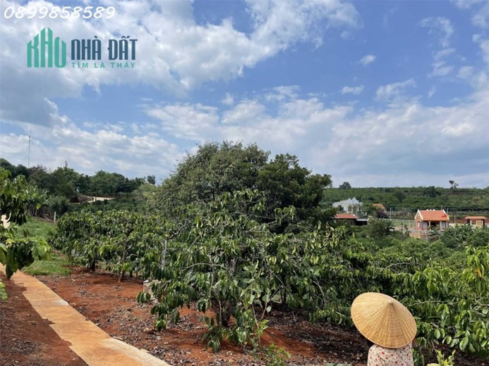 4358m2 sãn 300mtc . Ngang 65m tại thị trấn Nam Ban. Đi bộ tới nhựa.