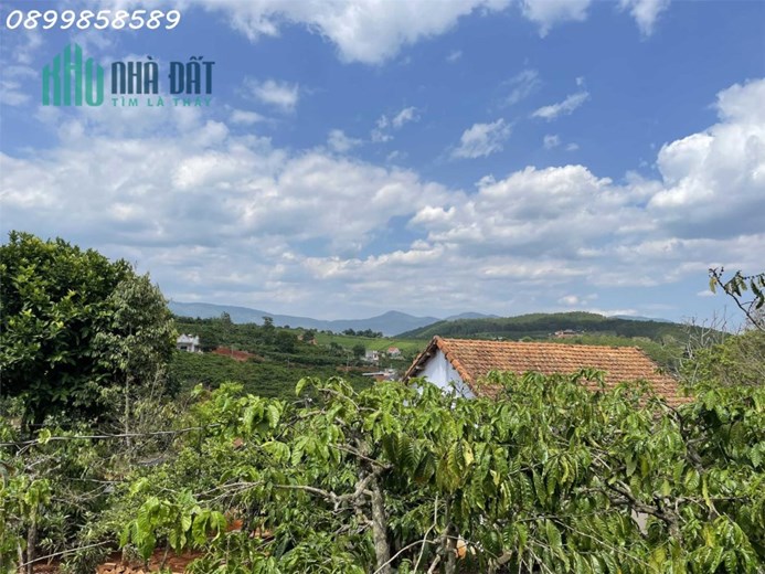 4358m2 sãn 300mtc . Ngang 65m tại thị trấn Nam Ban. Đi bộ tới nhựa.