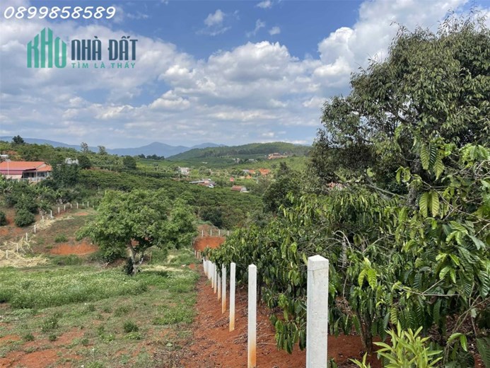 4358m2 sãn 300mtc . Ngang 65m tại thị trấn Nam Ban. Đi bộ tới nhựa.