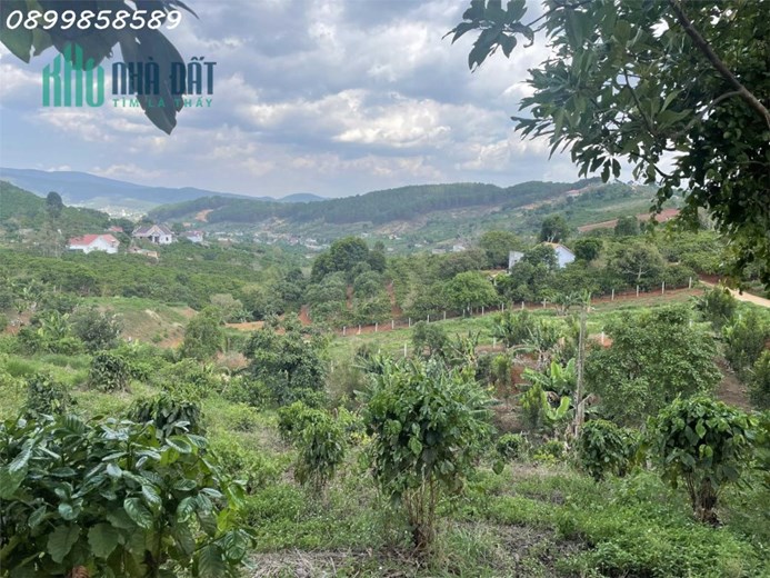 4358m2 sãn 300mtc . Ngang 65m tại thị trấn Nam Ban. Đi bộ tới nhựa.