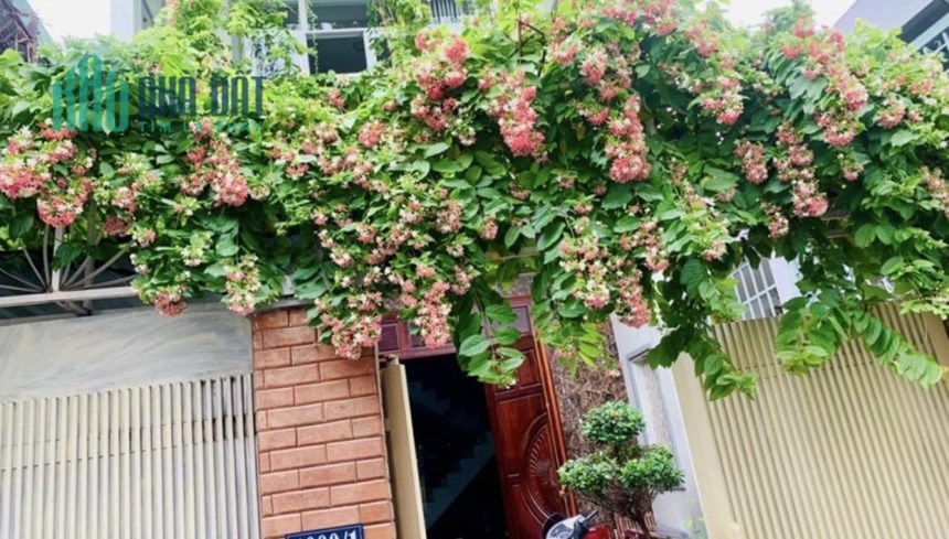 Cần Mua Nhà Chợ Tân Huong Tân Phú, 55m2, 3 Tầng, Tiện hoạt động KD. Chỉ 4 Tỷ