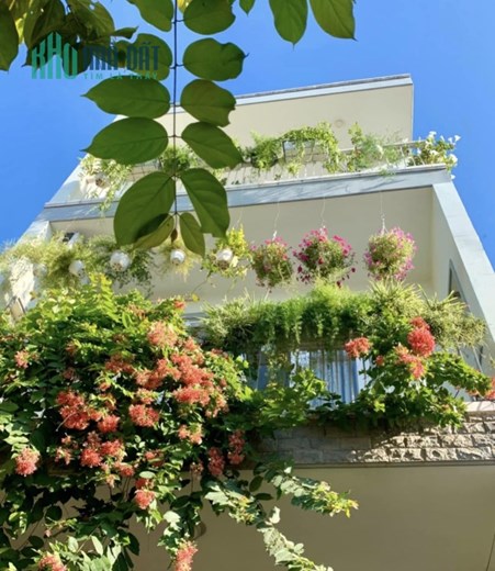 Đường Tân Hương, Quận Tân Phú, Nhà 55m2, Hẻm Nhựa. Kd Tốt. Chỉ 4 Tỷ
