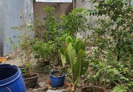 Bán đất 69m2 liền kề đường Hoàng Diệu 2 và Kha Vạn Cân Linh Trung