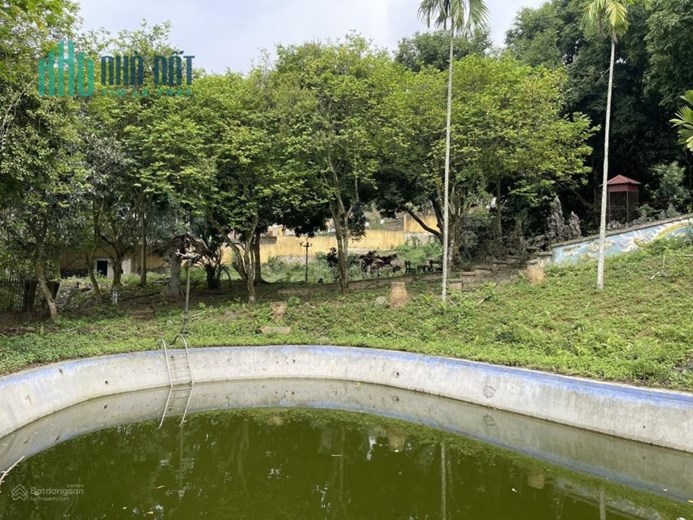 Bán trang trại khu nghỉ dưỡng giá rẻ tại Hoà Sơn Lương Sơn Hoà Bình