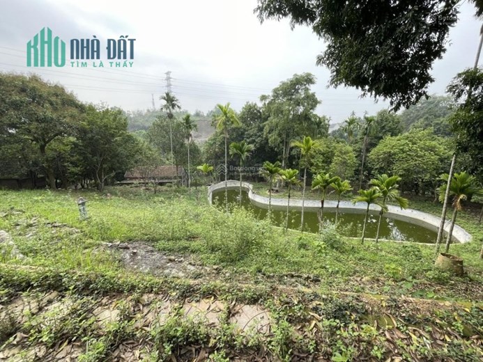 Bán trang trại khu nghỉ dưỡng giá rẻ tại Hoà Sơn Lương Sơn Hoà Bình