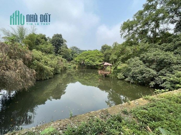 Bán trang trại khu nghỉ dưỡng giá rẻ tại Hoà Sơn Lương Sơn Hoà Bình