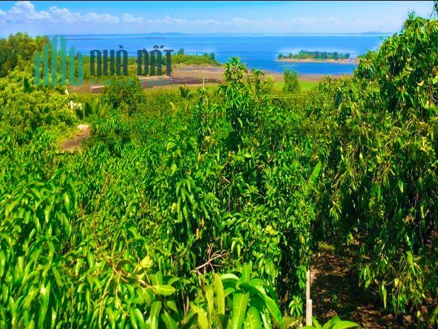 Bán đất Đồng Nai view Hồ Trị An giá rẻ